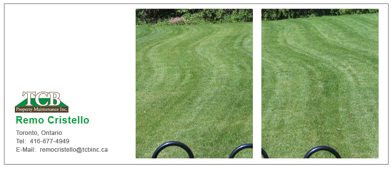 ContactMainContentArea