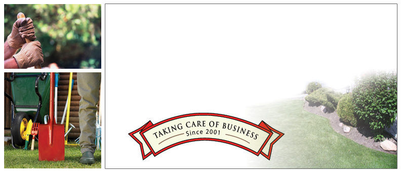 Home Main Content Area